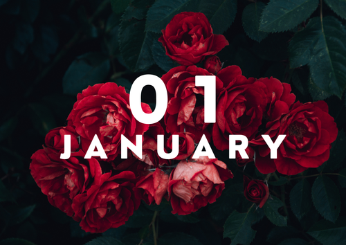 Printable Flower Calendar — 12-Month Floral Wall Calendar Digital Download